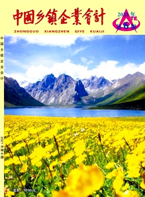 中国乡镇企业会计